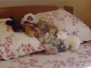 dsc00712