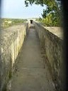 dsc00778