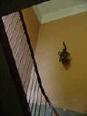 dsc00864