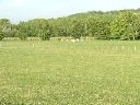 dscn2542