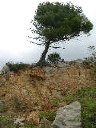 dscn2751