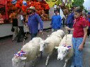 dscn2814